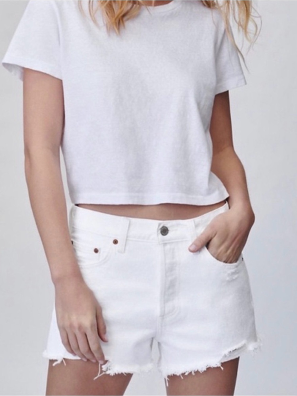 Aritzia l Denim Forum Ex Bf Shorts